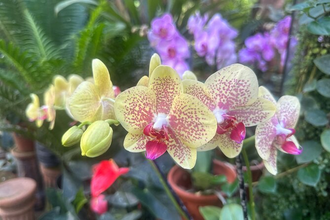 1/2 Day Puerto Vallarta Botanical Garden tour - The Coffee Plantation Stop: Why It’s Not Just a Break