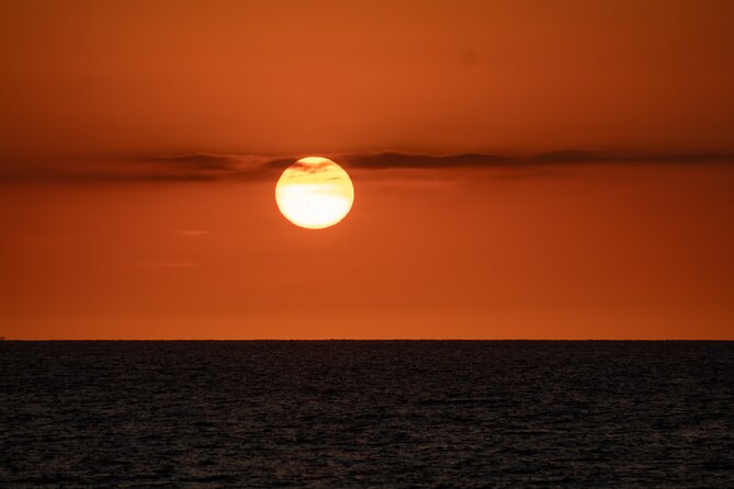 2 Hours Catamaran Sunset Tour - Whale Sightings: Hope for Them, Don’t Count on Them
