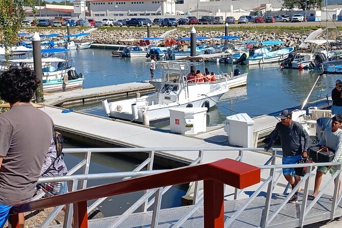 3 Hours of Whale Watching in Puerto Vallarta - What you might see beyond whales: Los Arcos and beach time