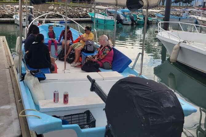 3 Hours of Whale Watching in Puerto Vallarta - Price and value: $55 plus the port tax reality