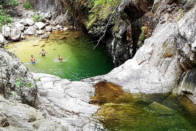 4-Hour Jungle Hike and Waterfall Swim - Guides Who Bring the Jungle to Life (Juan Carlos, Juan, Alex, and More)