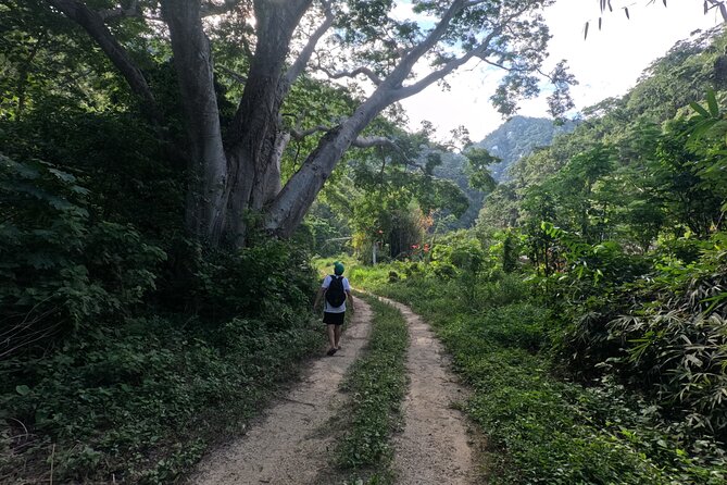 Adventure route: Hike to Cascada Escondida - The guide factor: why Elian keeps coming up