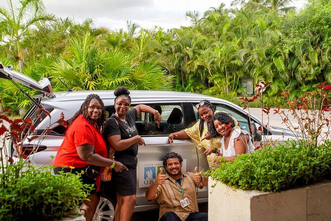 Airport Pickup in Puerto Vallarta: Private Round Trip of 22km - Language and communication: English and Spanish with Obi-style service