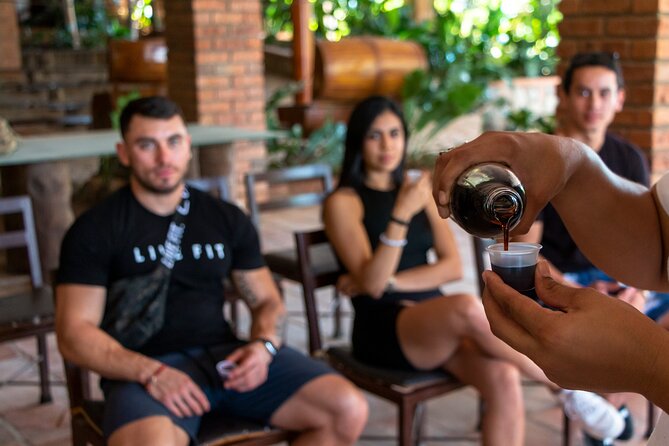 ATV Adventure from Puerto Vallarta - What $110 covers (and why it can feel like good value)