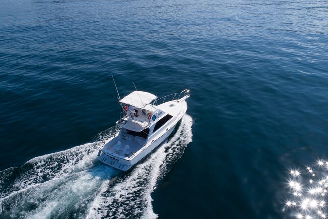 Bertram 38' Convertible Boat in Puerto & Nuevo Vallarta - Fishing and Kayaking: Pick Your Adventure On Board