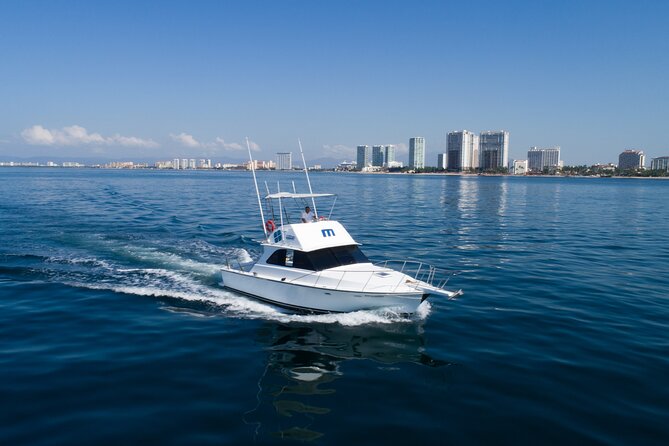 Bertram 38' Convertible Boat in Puerto & Nuevo Vallarta - Price and Value: What $800 Per Group Really Buys