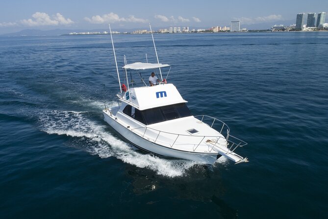 Bertram 38' Convertible Boat in Puerto & Nuevo Vallarta - The Rocks Full of Wildlife: Snorkeling With Real Underwater Views