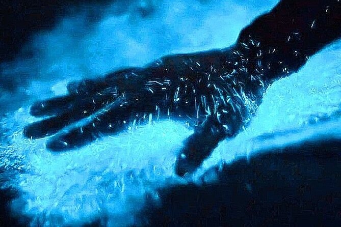 Bioluminescence & sunset local boat tour to Los Arcos Sanctuary - What You’ll Love Most (Quick Hits)