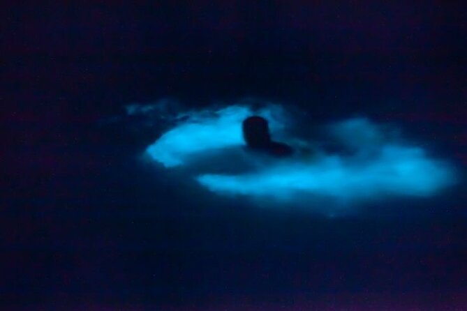 Bioluminescence & sunset local boat tour to Los Arcos Sanctuary - Sunset To Los Arcos: How The Morning/Evening Set-Up Works