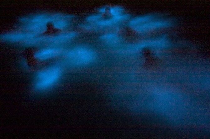Bioluminescence & sunset local boat tour to Los Arcos Sanctuary - Rough Water Reality Check (And How To Handle It)