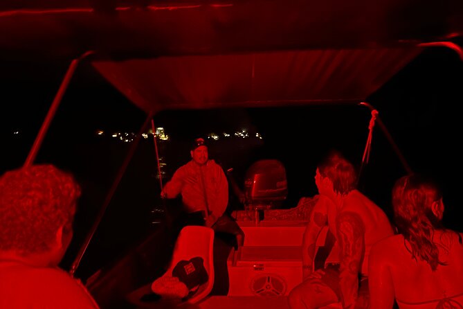 Bioluminescence & sunset local boat tour to Los Arcos Sanctuary - Wildlife Bonuses: Whales, Sea Turtles, And Birds From The Bay
