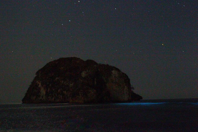 Bioluminescence & sunset local boat tour to Los Arcos Sanctuary - Price And Value: Is $83.99 Worth It?