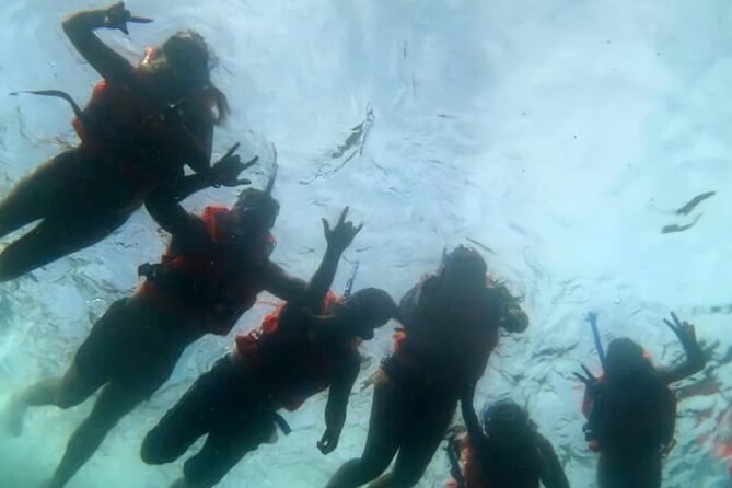 Boat and Snorkel Tour to 5 Islands of Los Arcos - Los Arcos National Marine Park: five islands, caves, and bird sanctuaries