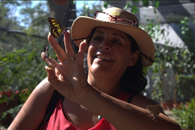 Butterflies, City tour, tequila, and beach (kids free) - Key highlights you’ll care about