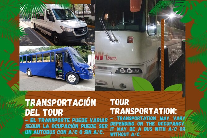 Butterflies, City tour, tequila, and beach (kids free) - The big-picture idea: a half-day “PV sampler” that’s great for first-timers