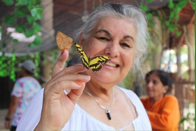 Butterflies, City tour, tequila, and beach (kids free) - Mariposario Morpho butterfly house: the main event (and the one with rules)