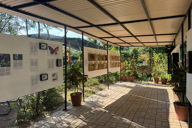Butterfly Sanctuary, Museum & Lunch with Transport - Price and value: what you’re actually getting for $119