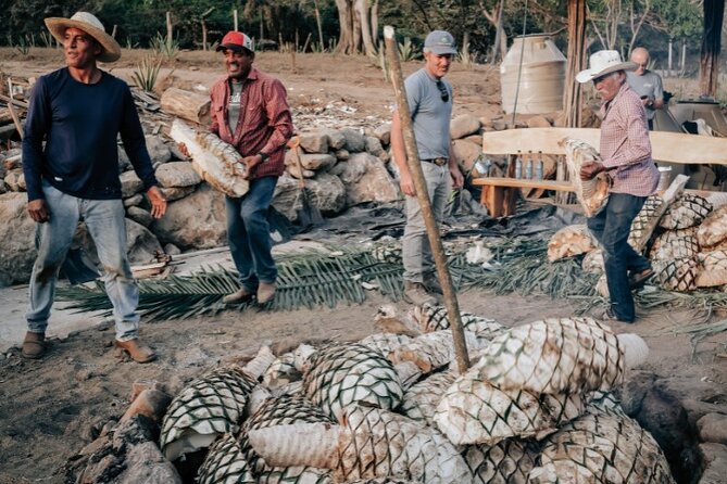 Cachasol Raicilla and Tequila Tour - Farm-to-Table Food That Supports the Sips