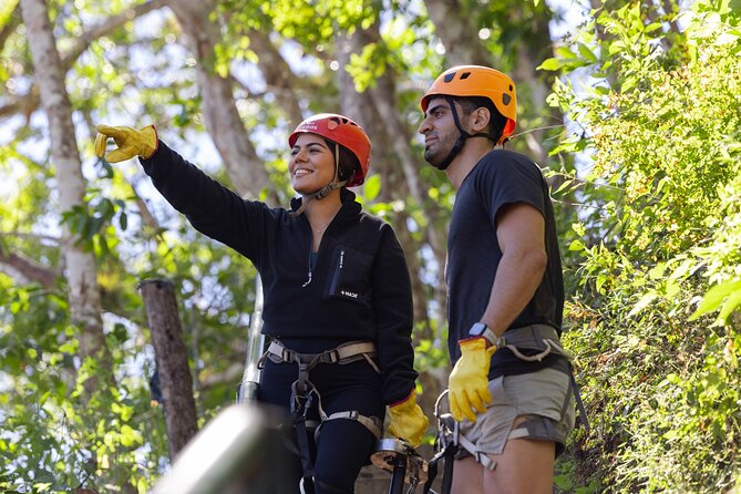 Canopy Los Veranos Zipline - Price and Value: What You Get for $119 and What Costs Extra