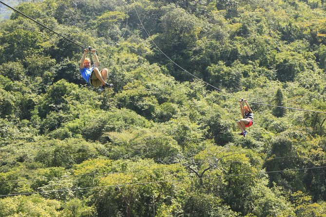 Canopy River Zipline Tour and Mule Ride - Price and logistics: what $120 really covers, and where trips can go sideways