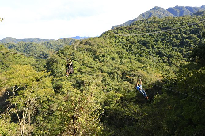 Canopy River Zipline Tour and Mule Ride - Gear-up and safety: what you’ll do before you fly
