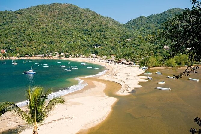 Catamaran Yelapa Beach Tour with Snorkeling, Food and Open Bar - Key highlights you’ll feel all day