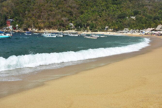Catamaran Yelapa Beach Tour with Snorkeling, Food and Open Bar - Who should book this tour (and who should rethink it)