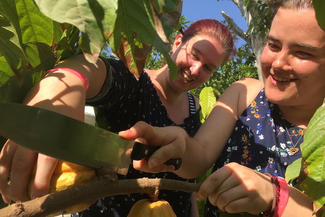 Chocolate Tour in Vallarta - Private tour feel: why small-group access changes everything