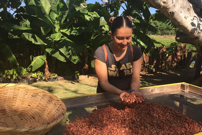 Chocolate Tour in Vallarta - Who this tour is best for (and who might want a different option)