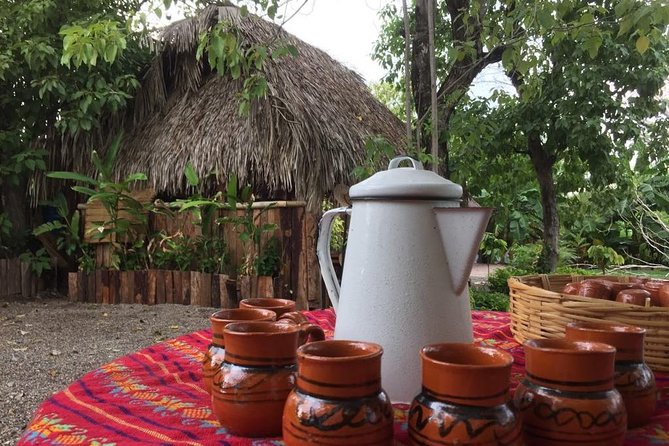Chocolate Tour in Vallarta - What you actually do on the chocolate tour (not just watch)