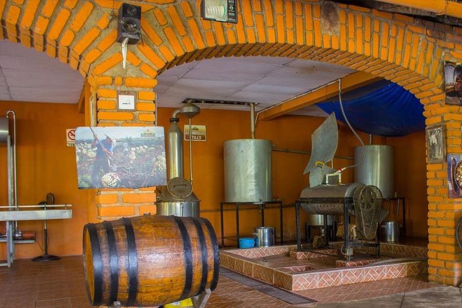City and Tequila Tour in Puerto Vallarta - Price and value: what $66 buys you in the real world