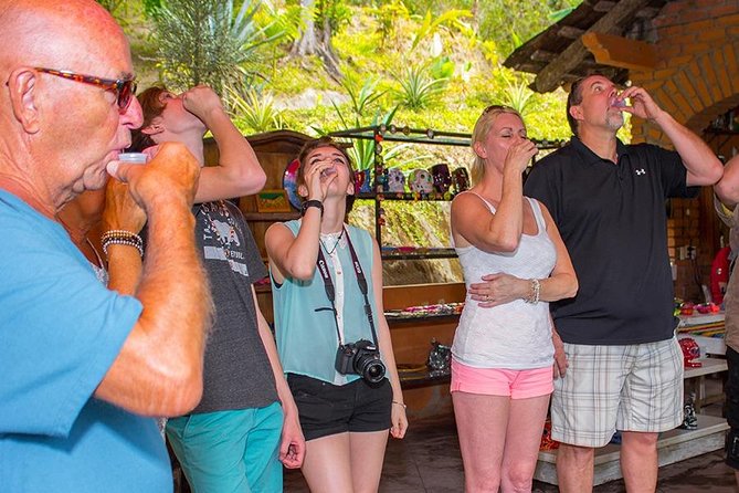City and Tequila Tour in Puerto Vallarta - Timing, group size, and language: how to make the day easy