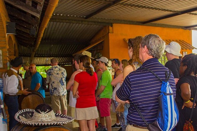 City and Tequila Tour in Puerto Vallarta - Who should book this Puerto Vallarta city and tequila tour