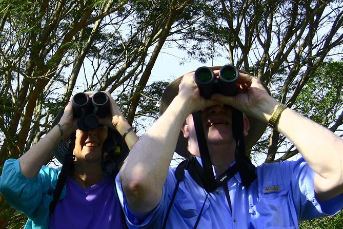 Desembocada and Ameca River Bird Paradise (Wetland and Tropical birds in PV) - Wetlands and mangroves: how you spot birds that don’t want to be found