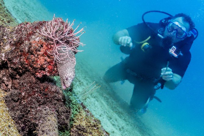 Discover Scuba experience at Las Caletas, Puerto Vallarta - Gear, Forms, and Safety Checks (Yes, They Actually Matter)