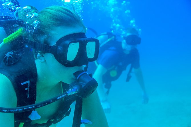 Discover Scuba experience at Las Caletas, Puerto Vallarta - Your Underwater Session at Las Caletas Coves: Caves, Reefs, and Real Marine Encounters