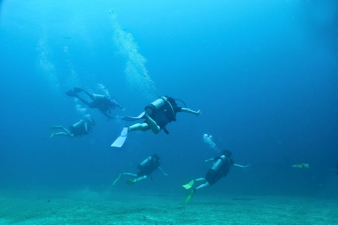 Discover Scuba experience at Las Caletas, Puerto Vallarta - What the Day Looks Like Above Water: Lunch, Beverages, and Island Time
