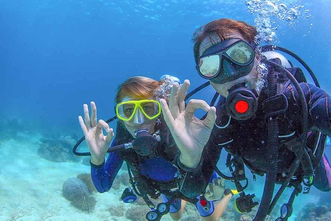 Discover Scuba experience at Las Caletas, Puerto Vallarta - Practical Tips to Make Your Underwater Session Easier