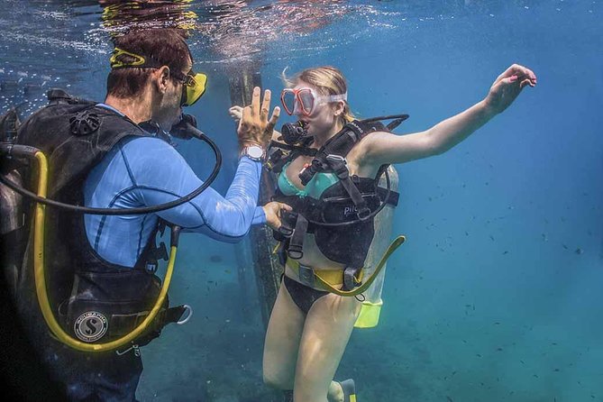 Discover Scuba experience at Las Caletas, Puerto Vallarta - The 50-Minute Boat Ride to Las Caletas (And Why It’s Part of the Point)