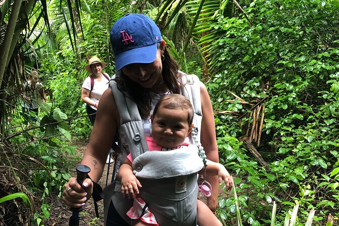 EcoHike to private beach, Jungle Walk to see plants & animals - The 3-hour route: 5.5 km, 60 m climb, and what moderate really means