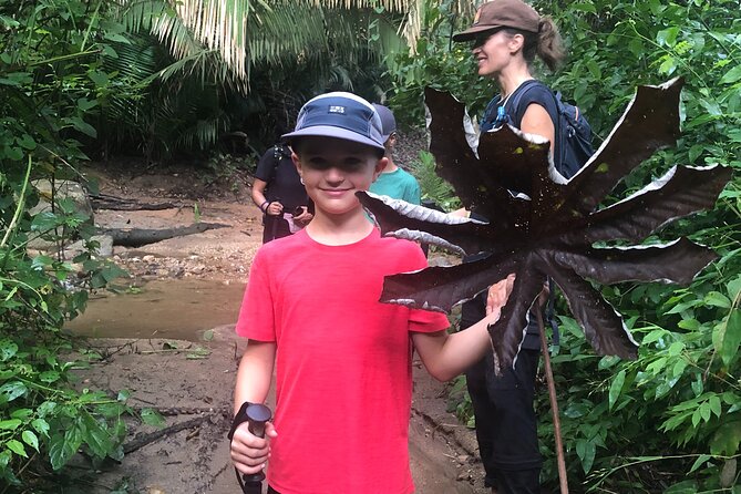 EcoHike to private beach, Jungle Walk to see plants & animals - The beach break: remote sand time, whale sightings, and postcard views