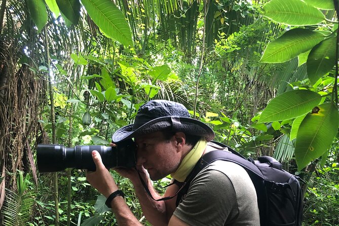 EcoHike to private beach, Jungle Walk to see plants & animals - What’s included: poles, binoculars, first aid, and why that helps
