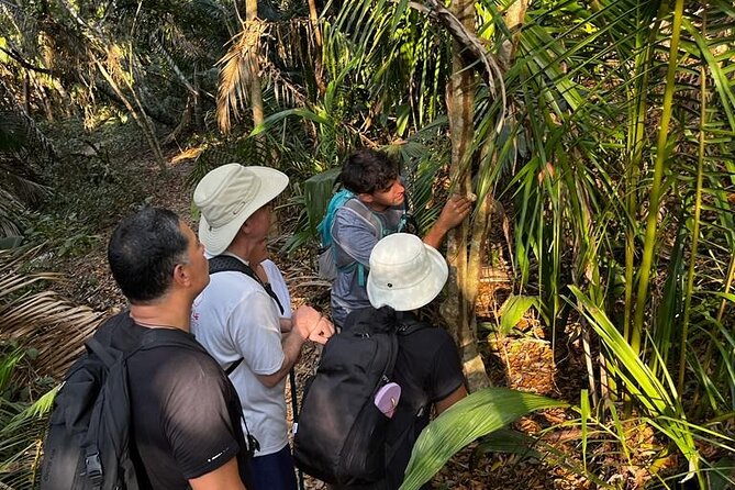 EcoHike to private beach, Jungle Walk to see plants & animals - What to bring for a hot, buggy, jungle-walking day