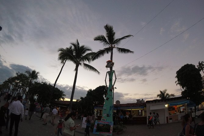 Educational and fun Private City tour- Puerto Vallarta - A private pickup that makes the day feel easy