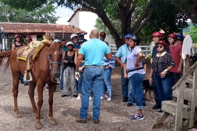 Experience Horse Riding, ATV & Zipline from Puerto Vallarta - Key highlights you’ll feel (fast)