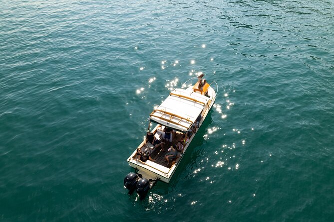 Explore Banderas Bay: Exclusive Boat Journies - Price and Value: What $929.31 Gets Your Group