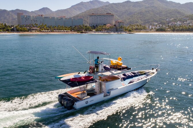 Famous Pato Bobo Adventure Boat - Wildlife sightings: whales, dolphins, and the reminder to respect the season