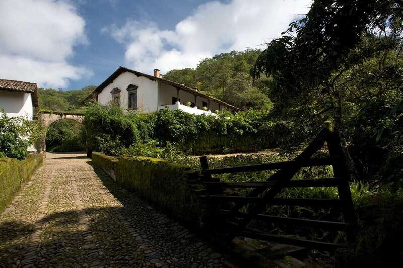 From Puerto Vallarta: Full-Day Tour to San Sebastian - Tequila House tasting: agave basics and Jalisco liquors