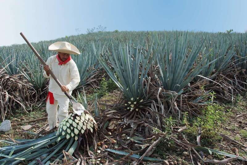 From Puerto Vallarta: Full-Day Tour to San Sebastian - Practical tips: what to bring for the 7-hour day