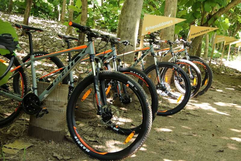 From Puerto Vallarta: Jungle Mountain Bike Tour - Key highlights you’ll actually feel
